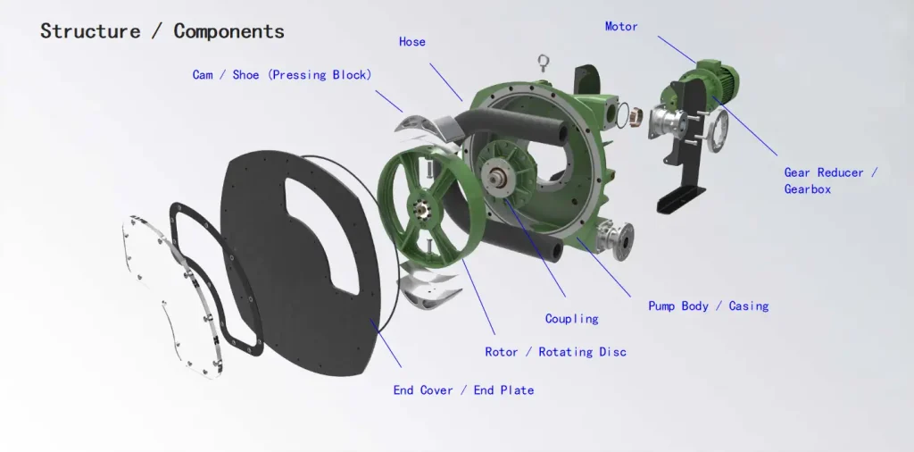 Internal structure and components of an Industrial Hose Pump including motor, gear reducer, rotor, and heavy-duty hose.